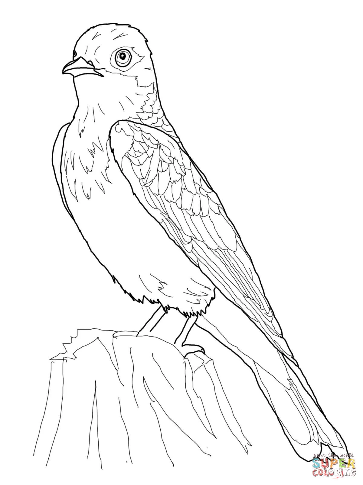 Dibujo de Sirirí migrante para colorear | Dibujos para colorear imprimir gratis Dibujo de Sirirí migrante para colorear | Dibujos para colorear imprimir gratis
