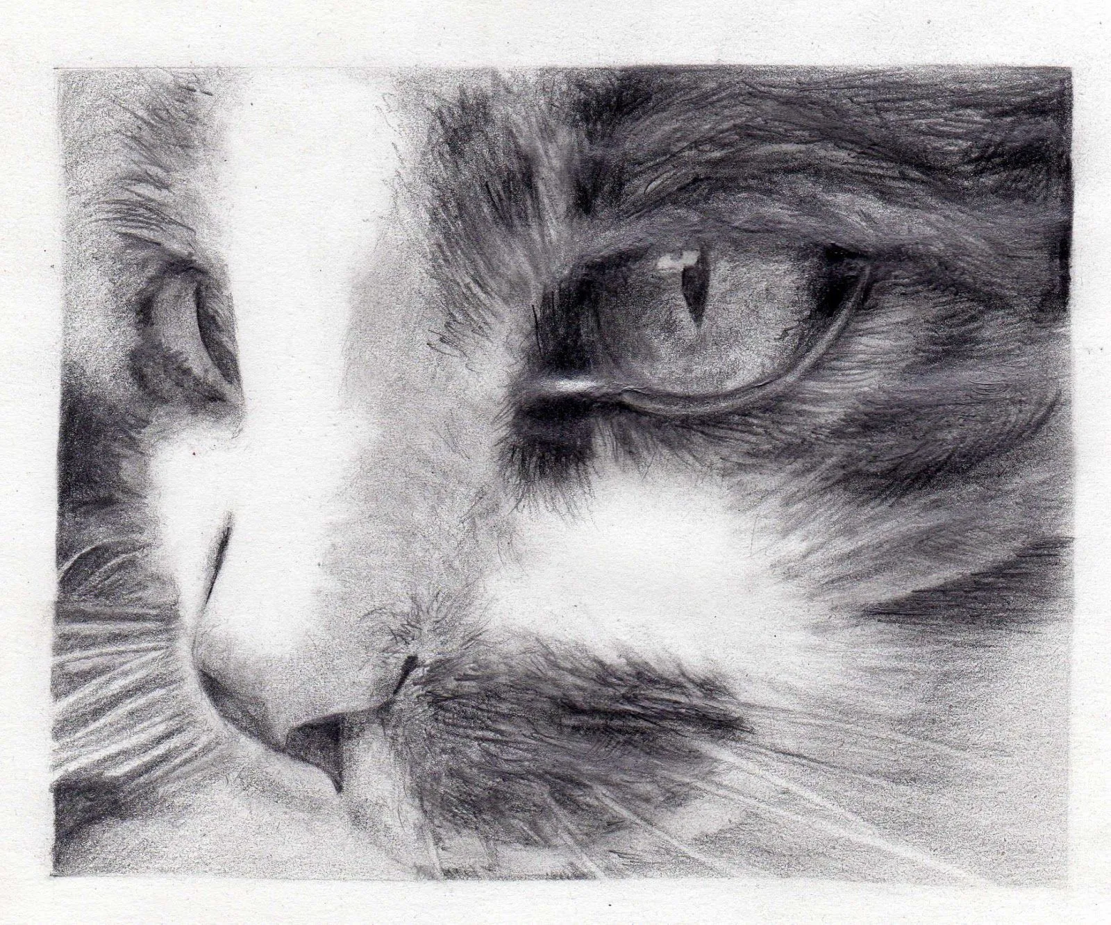 EL DIBUJO SIRVE PARA TODO: Dibujos de alumnos de 2º de ... EL DIBUJO SIRVE PARA TODO: Dibujos de alumnos de 2º de ...