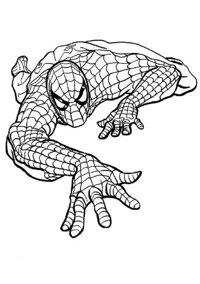 Dibujo de Spiderman. Dibujo para colorear de Spiderman. Dibujos ...