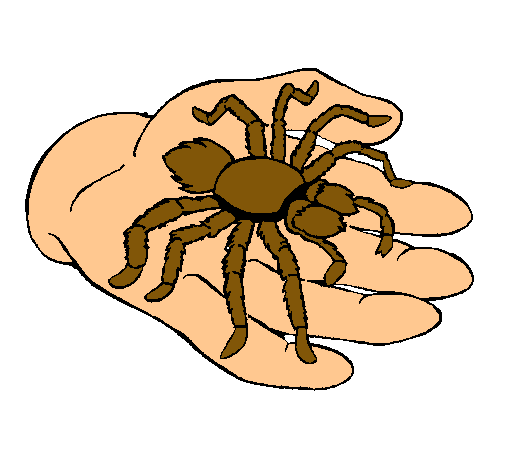 Dibujo de Tarántula pintado por Fernand0 en Dibujos.net el día 15 ... Dibujo de Tarántula pintado por Fernand0 en Dibujos.net el día 15 ...