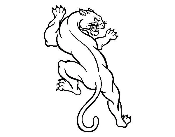 Dibujo de Tatuaje de puma para Colorear - Dibujos.net Dibujo de Tatuaje de puma para Colorear - Dibujos.net