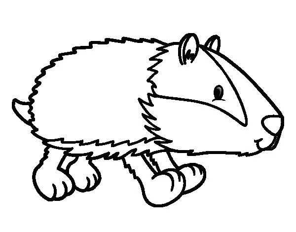 Dibujo de Tejón andando para Colorear - Dibujos.net