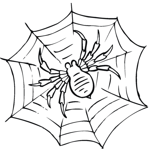 Dibujo de Tela de Araña para colorear | Dibujos para colorear ...