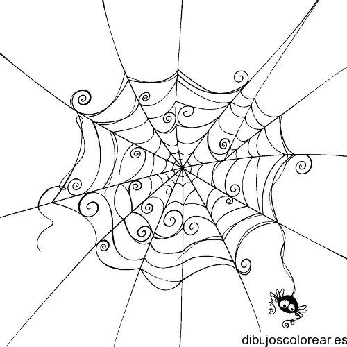 Dibujo de una telaraña | Dibujos para Colorear Dibujo de una telaraña | Dibujos para Colorear