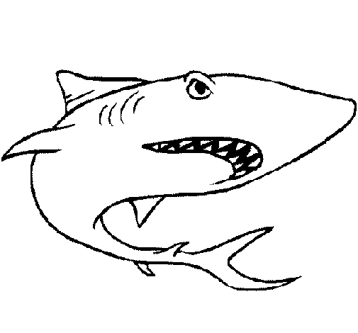 Dibujo de Tiburón para Colorear - Dibujos.net Dibujo de Tiburón para Colorear - Dibujos.net