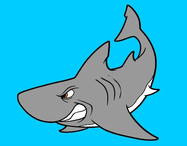 Dibujo de TIBURON ENOJADO pintado por David200 en Dibujos.net el ...