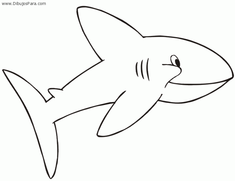 Dibujo de Tiburon infantil | Dibujos de Tiburones para Pintar ... Dibujo de Tiburon infantil | Dibujos de Tiburones para Pintar ...