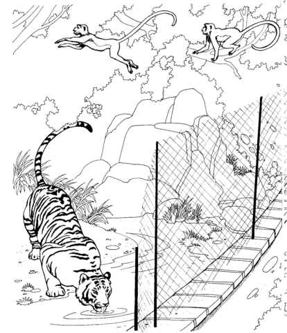 Dibujo de Un Tigre en el Zoológico para colorear | Dibujos para ... Dibujo de Un Tigre en el Zoológico para colorear | Dibujos para ...