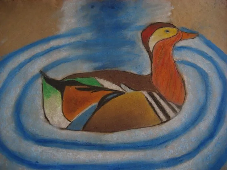 dibujo a tiza pastel sobre papel craft sobre aves de América ... dibujo a tiza pastel sobre papel craft sobre aves de América ...