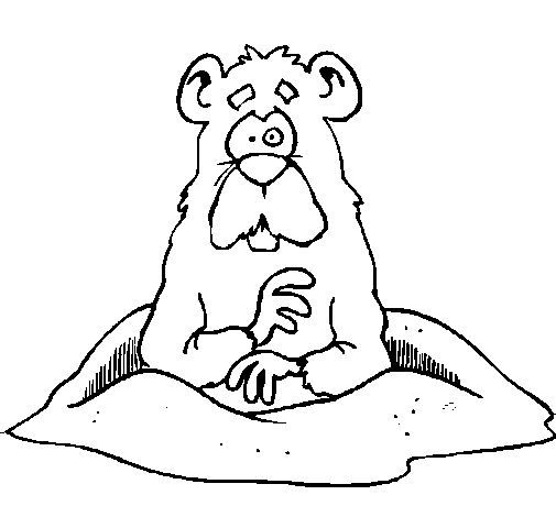 Dibujo de Topo para Colorear - Dibujos.net