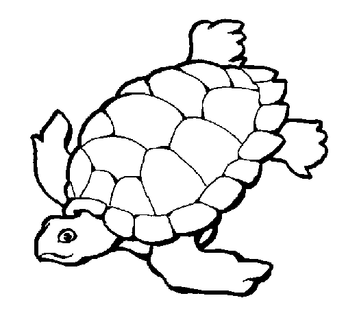 Dibujo de Tortuga para Colorear - Dibujos.net