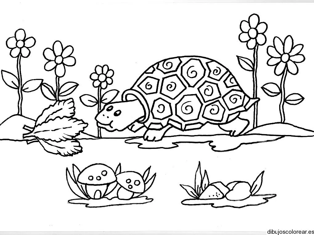 Dibujo de una tortuga en el lago | Dibujos para Colorear Dibujo de una tortuga en el lago | Dibujos para Colorear
