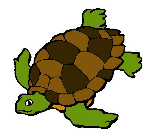 Dibujo de Tortuga pintado por Mar en Dibujos.net el día 04-10-10 a ... Dibujo de Tortuga pintado por Mar en Dibujos.net el día 04-10-10 a ...