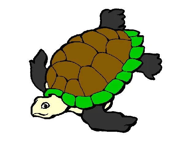 Dibujo de Tortuga pintado por Naif en Dibujos.net el día 27-08-12 ... Dibujo de Tortuga pintado por Naif en Dibujos.net el día 27-08-12 ...