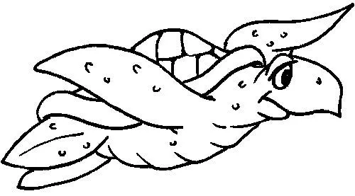 Dibujo tortugas marinas - Imagui