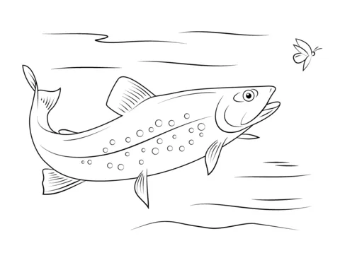 Dibujo de Trucha de Manantial para colorear | Dibujos para ... Dibujo de Trucha de Manantial para colorear | Dibujos para ...