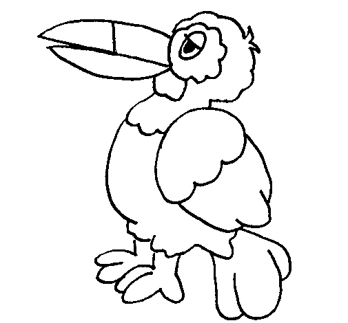 Dibujo de Tucán para Colorear - Dibujos.net Dibujo de Tucán para Colorear - Dibujos.net