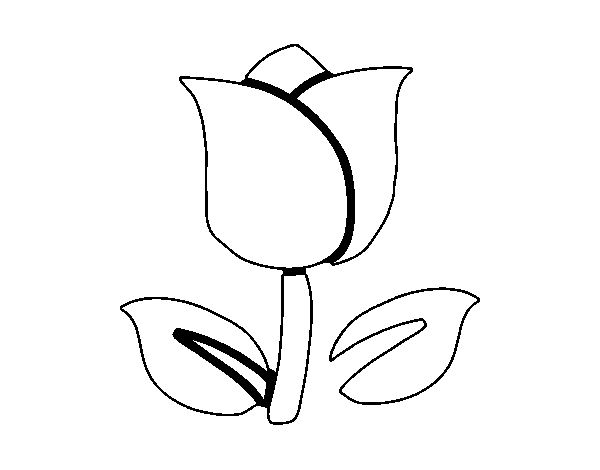 Dibujo de Tulipán para Colorear - Dibujos.net
