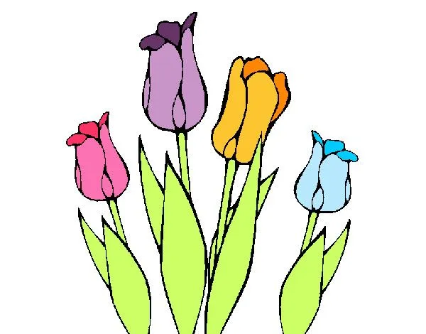 Dibujo de Tulipanes pintado por Anto_2604 en Dibujos.net el día 17 ...