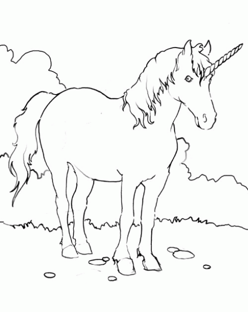 de Unicornio para colorear. Dibujos infantiles de Unicornio. Colorear ...