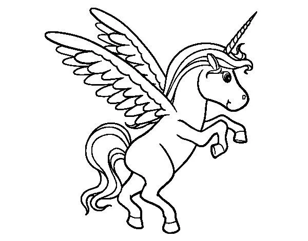 Dibujo de Unicornio joven para Colorear - Dibujos.net