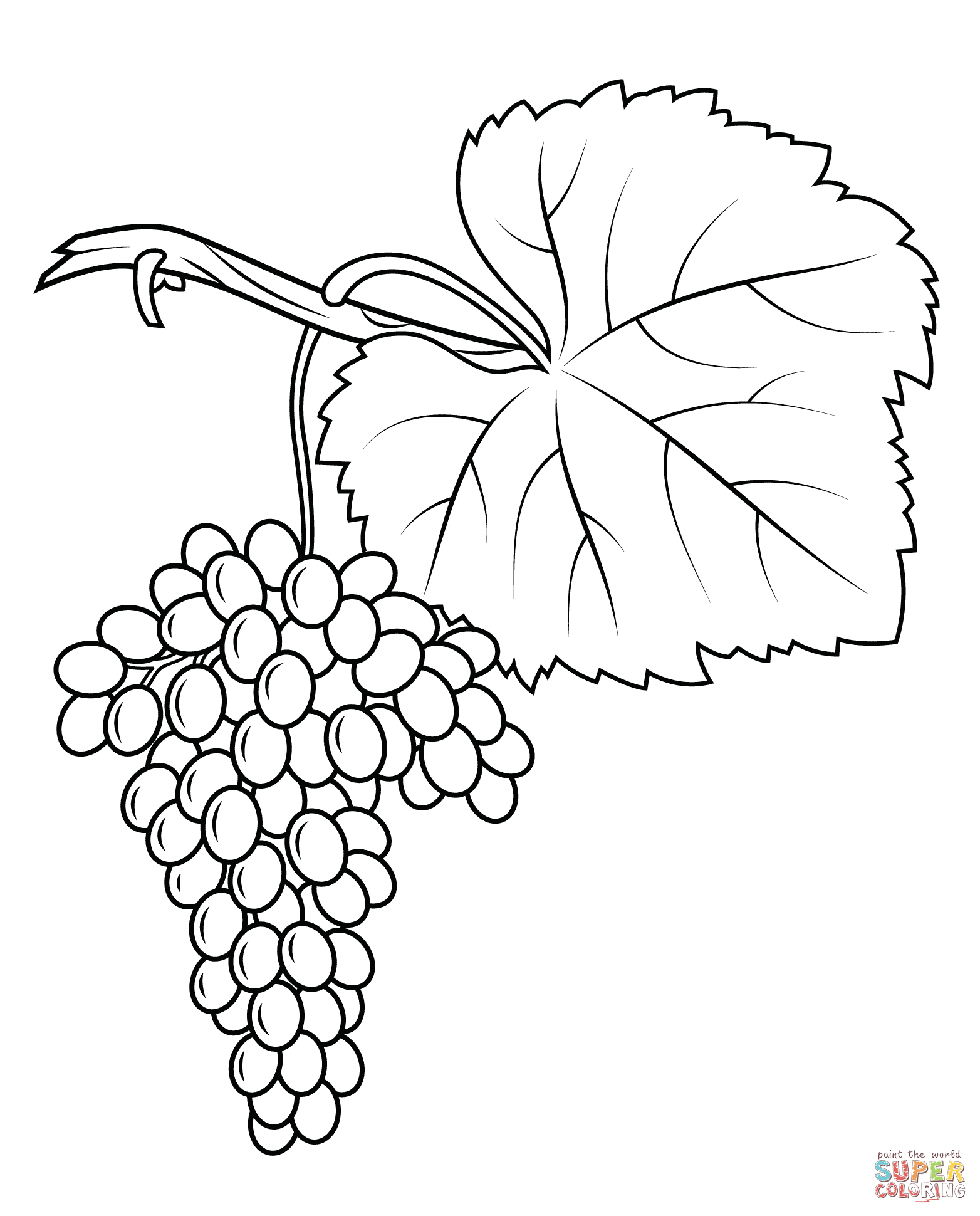 Dibujo de Uvas Fiano para colorear | Dibujos para colorear imprimir gratis Dibujo de Uvas Fiano para colorear | Dibujos para colorear imprimir gratis
