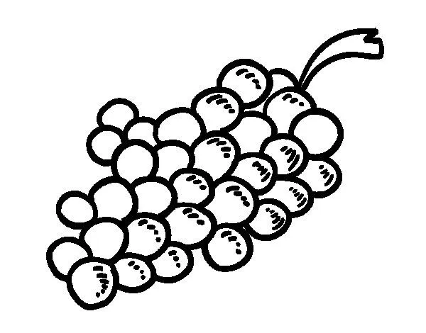 Dibujo de Uvas moradas para Colorear - Dibujos.net