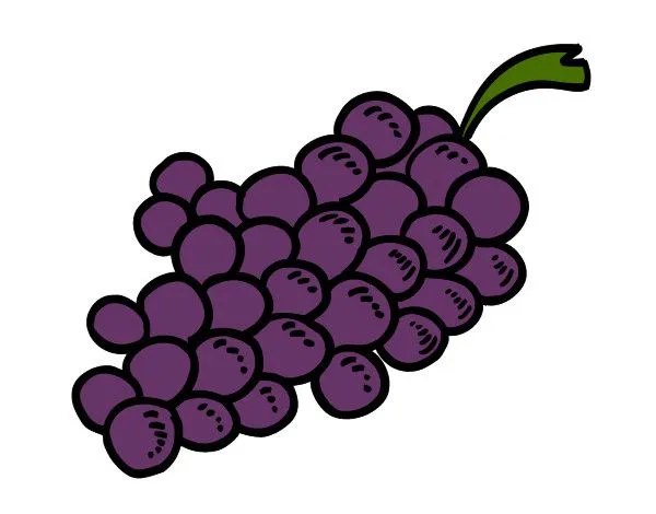 Dibujo de Uvas moradas pintado por Kareng en Dibujos.net el día 24 ...