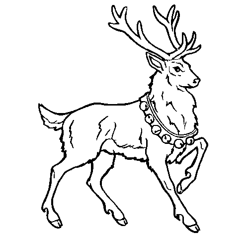 Dibujo de Venado para Colorear - Dibujos.net