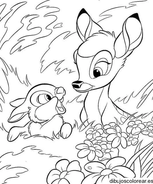 Dibujo de un venado y un conejo | Dibujos para Colorear Dibujo de un venado y un conejo | Dibujos para Colorear