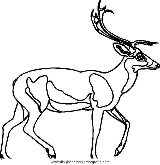 Free coloring pages