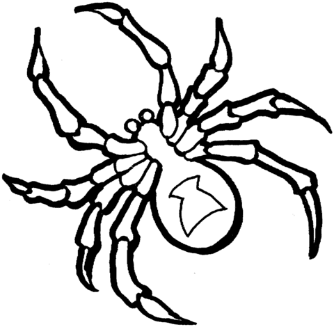 Dibujo de Una Viuda Negra para colorear | Dibujos para colorear ... Dibujo de Una Viuda Negra para colorear | Dibujos para colorear ...