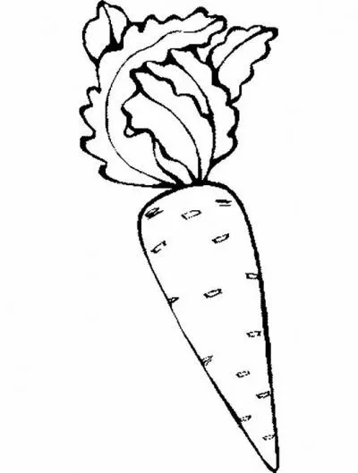 Dibujo de Zanahorias. Dibujo para colorear de Zanahorias. Dibujos ... Dibujo de Zanahorias. Dibujo para colorear de Zanahorias. Dibujos ...