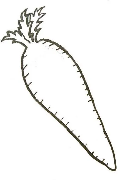 Dibujo de Zanahorias. Dibujo para colorear de Zanahorias. Dibujos ... Dibujo de Zanahorias. Dibujo para colorear de Zanahorias. Dibujos ...