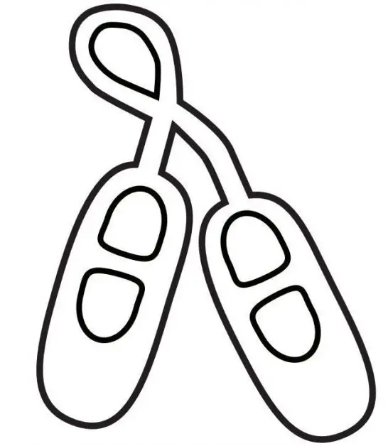 Dibujo zapatillas ballet - Imagui