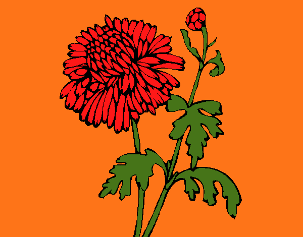 Dibujo de Zinnia pintado por en Dibujos.net el día 02-08-15 a las ...