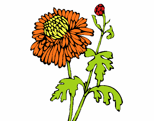 Dibujo de Zinnia pintado por en Dibujos.net el día 07-08-15 a las ...