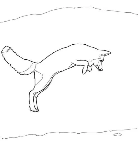 Dibujo de Zorro Ártico Saltando para colorear | Dibujos para ... Dibujo de Zorro Ártico Saltando para colorear | Dibujos para ...