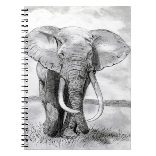dibujo_del_elefante_africano_ ...