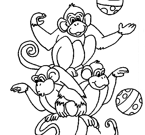 Monos artistas de circo