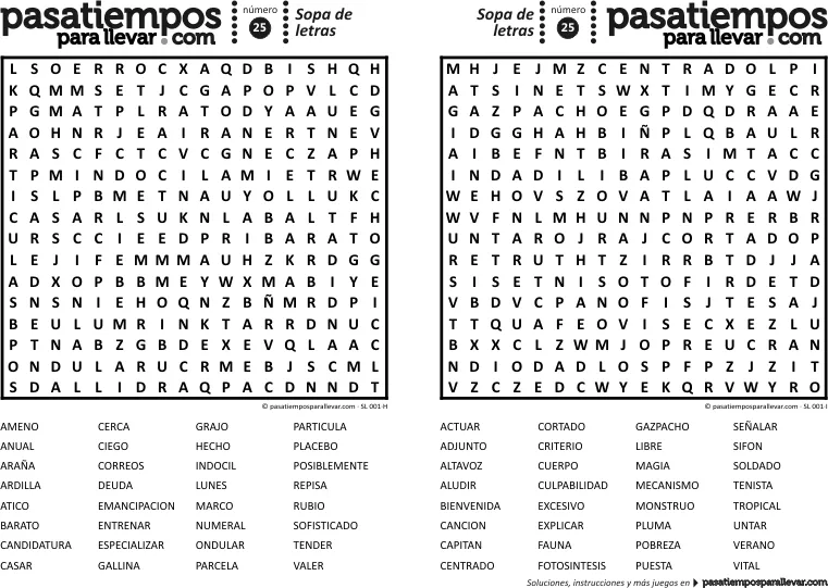 sopa-letras.png