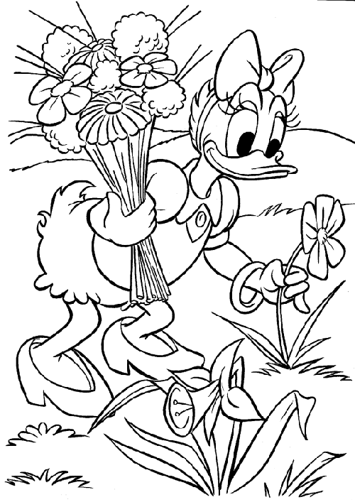 Pato-Donald-Daisy-dibujos- ...