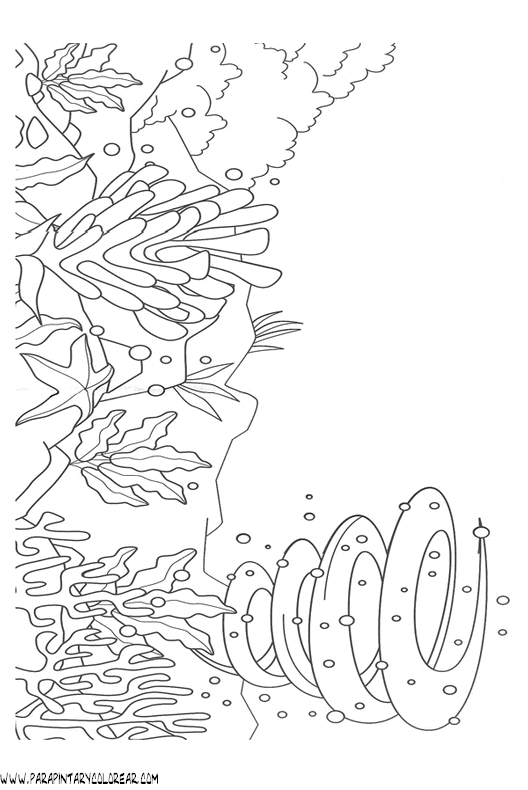 dibujos-de-bajo-el-mar-004