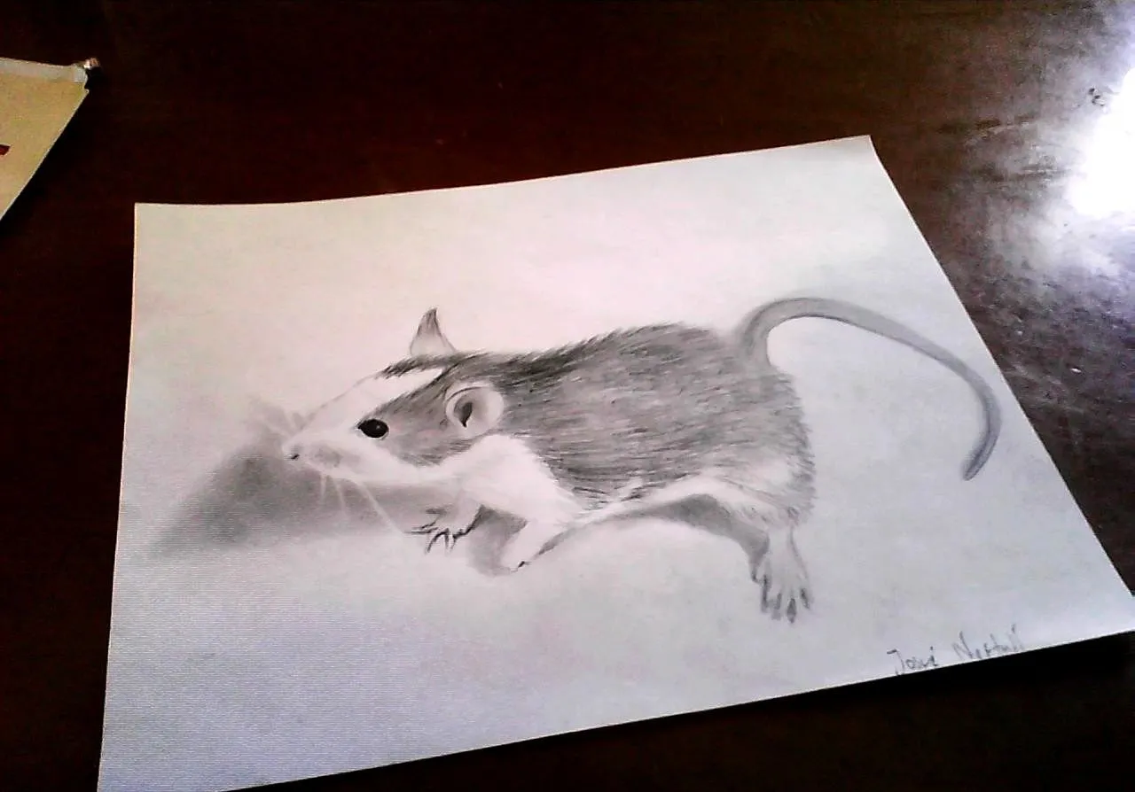 Dibujos 3D a lapiz dibujos realistas - Taringa! Dibujos 3D a lapiz dibujos realistas - Taringa!