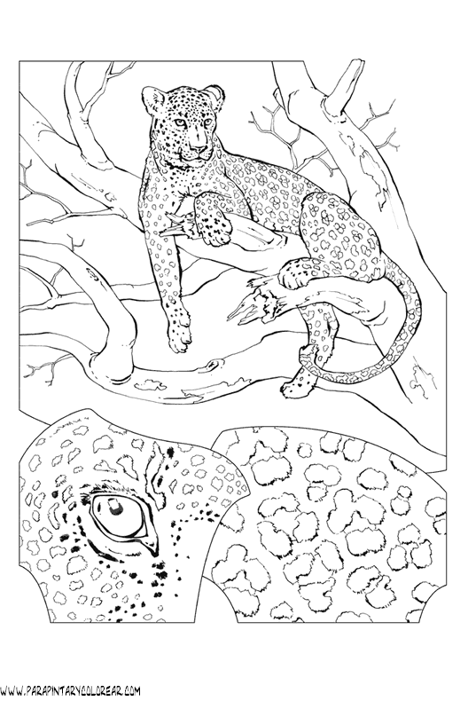 dibujos-