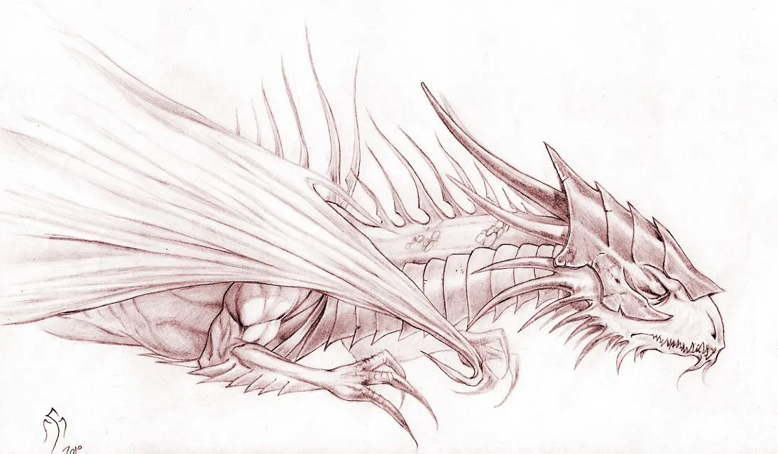 Dibujos de dragones a lapiz - Imagui