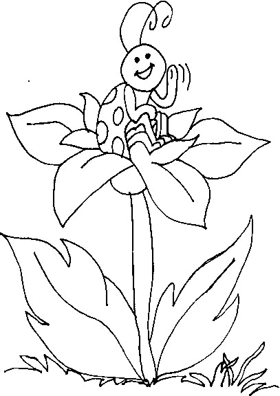 Dibujos para colorear de Mariquitas, chinitas, catarinas ...