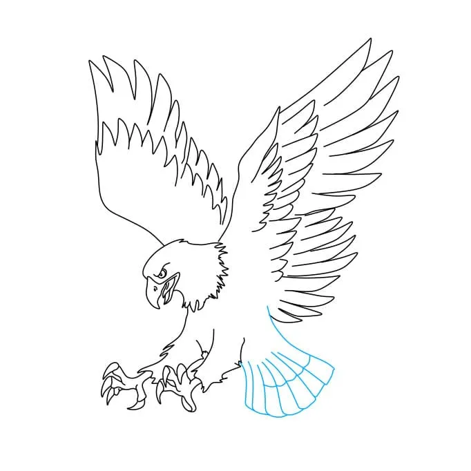 Dibujos de Águila - Cómo dibujar Águila paso a paso Dibujos de Águila - Cómo dibujar Águila paso a paso