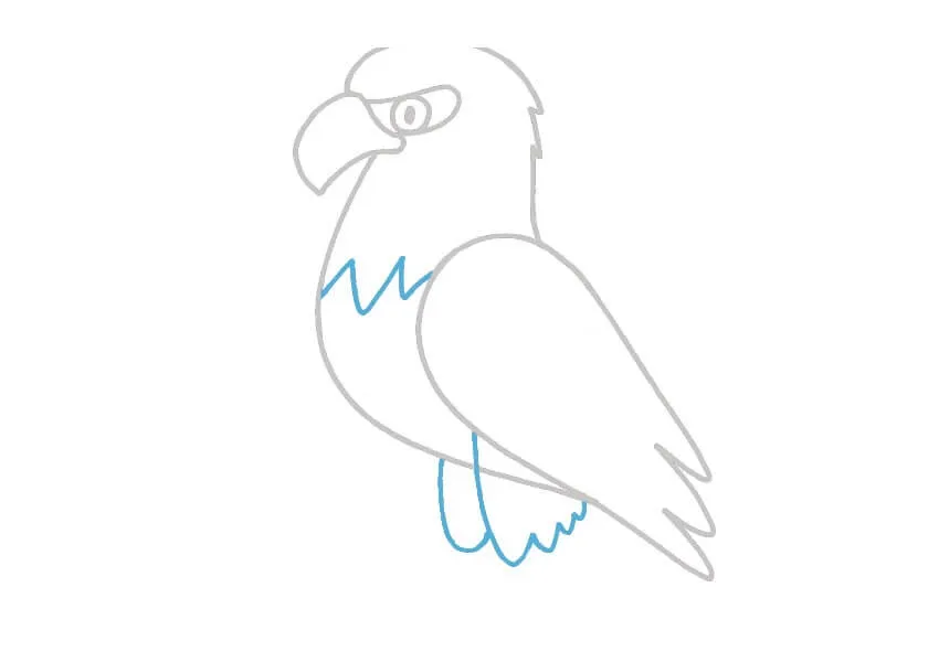 Dibujos de Águila - Cómo dibujar Águila paso a paso Dibujos de Águila - Cómo dibujar Águila paso a paso