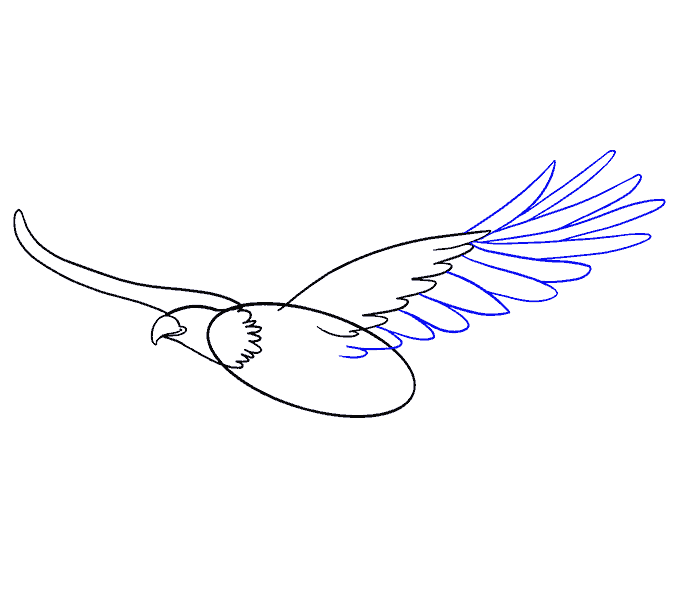 Dibujos de Águila - Cómo dibujar Águila paso a paso Dibujos de Águila - Cómo dibujar Águila paso a paso